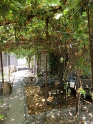 Частина будинку на Космосі (по вулиці Таманська) фото 10 Частина будинку на Космосі (по вулиці Таманська) фото 10