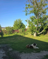 Продаэться будинок с.Бабурка. фото 6 Продаэться будинок с.Бабурка. фото 6