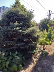 Великий будинок для життя чи під комерцію фото 8 Великий будинок для життя чи під комерцію фото 8