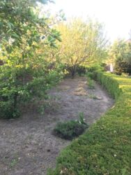 Затишний будинок в Нижній Хортиці фото 4 Затишний будинок в Нижній Хортиці фото 4