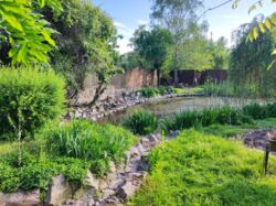 Продається будинок Запорізька, Запоріжжя, Комунарський фото 15 Продається будинок Запорізька, Запоріжжя, Комунарський фото 15