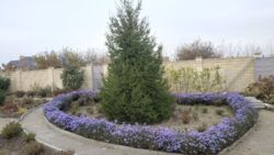 Дом под отделку в районе улицы Доблестной фото 13 Дом под отделку в районе улицы Доблестной фото 13