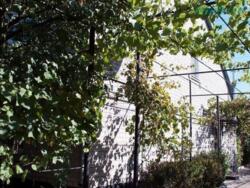 Продається будинок Запорізька, Запоріжжя, Заводський, Подпорожнянка / Новая ул. фото 16 Продається будинок Запорізька, Запоріжжя, Заводський, Подпорожнянка / Новая ул. фото 16