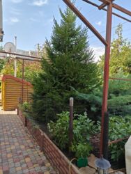 Пропонуємо на продаж чудовий будинок у Запоріжжі! фото 11 Пропонуємо на продаж чудовий будинок у Запоріжжі! фото 11