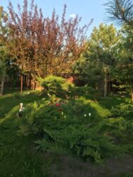 Затишний будинок в Нижній Хортиці фото 11 Затишний будинок в Нижній Хортиці фото 11