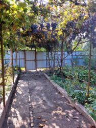 Продаж будинку в Заводському районi фото 6 Продаж будинку в Заводському районi фото 6