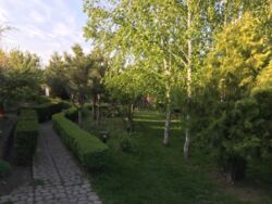 Затишний будинок в Нижній Хортиці фото 10 Затишний будинок в Нижній Хортиці фото 10