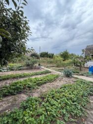 ������ ������� - ���� � �������! ���� 6