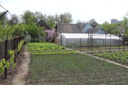 Продається будинок Запорізька, Запоріжжя, Дніпровський, Стасова ул. фото 2 Продається будинок Запорізька, Запоріжжя, Дніпровський, Стасова ул. фото 2