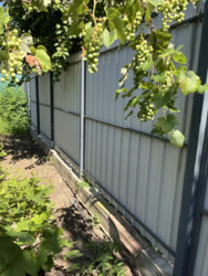 ��������� ������� ���������, ��������, �������������, ������������, 4 ���� 3