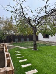 ��������� ������� ����������, ��������, ���������, ������������� ���� 10