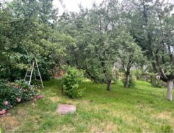 ��������� ������� ����� �� / ������� ���., ��������, ������������, ����� �� ���� 4