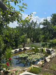 Продається будинок Київська, Білоцерківський, Черкас, Миру фото 3 Продається будинок Київська, Білоцерківський, Черкас, Миру фото 3