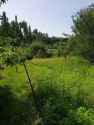 Продається будинок Київська, Білоцерківський, Біла Церква, Сухий Яр, Лісова фото 4 Продається будинок Київська, Білоцерківський, Біла Церква, Сухий Яр, Лісова фото 4