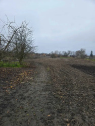 Продається будинок Київська, Сквирський, Самгородок, Шкільна фото 5 Продається будинок Київська, Сквирський, Самгородок, Шкільна фото 5