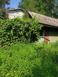 Продається будинок Київська, Білоцерківський, Біла Церква, Сухий Яр, Лісова фото 2 Продається будинок Київська, Білоцерківський, Біла Церква, Сухий Яр, Лісова фото 2