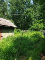 Продається будинок Київська, Білоцерківський, Біла Церква, Сухий Яр, Лісова фото 1 Продається будинок Київська, Білоцерківський, Біла Церква, Сухий Яр, Лісова фото 1