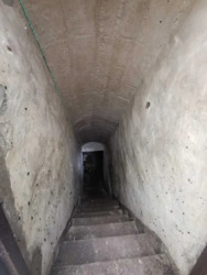 Продається будинок Київська, Білоцерківський, Пилипча, Лісова фото 17 Продається будинок Київська, Білоцерківський, Пилипча, Лісова фото 17