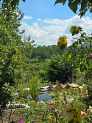 Продається будинок Київська, Білоцерківський, Черкас, Миру фото 21 Продається будинок Київська, Білоцерківський, Черкас, Миру фото 21