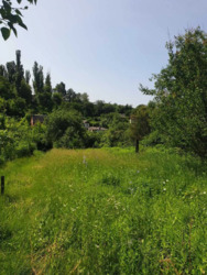 Продається будинок Київська, Білоцерківський, Біла Церква, Сухий Яр, Лісова фото 5 Продається будинок Київська, Білоцерківський, Біла Церква, Сухий Яр, Лісова фото 5