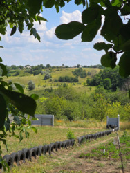 Продається будинок Київська, Білоцерківський, Черкас, Миру фото 5 Продається будинок Київська, Білоцерківський, Черкас, Миру фото 5
