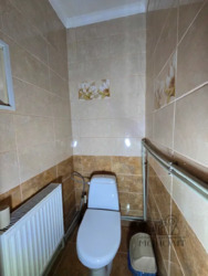 Продається будинок Київська, Білоцерківський, Шамраївка, Городище, 30 фото 11 Продається будинок Київська, Білоцерківський, Шамраївка, Городище, 30 фото 11