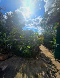 Продається будинок Київська, Білоцерківський, Дрозди, Українська фото 7 Продається будинок Київська, Білоцерківський, Дрозди, Українська фото 7