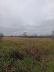 Продається будинок Київська, Білоцерківський, Пилипча, Лісова фото 14 Продається будинок Київська, Білоцерківський, Пилипча, Лісова фото 14