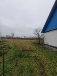 Продається будинок Київська, Білоцерківський, Пилипча, Лісова фото 13 Продається будинок Київська, Білоцерківський, Пилипча, Лісова фото 13