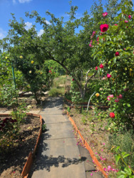 Продається будинок Київська, Білоцерківський, Черкас, Миру фото 4 Продається будинок Київська, Білоцерківський, Черкас, Миру фото 4