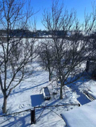 ��������� ������� ����������, ������ ������, ��������������, ������� ���� 5