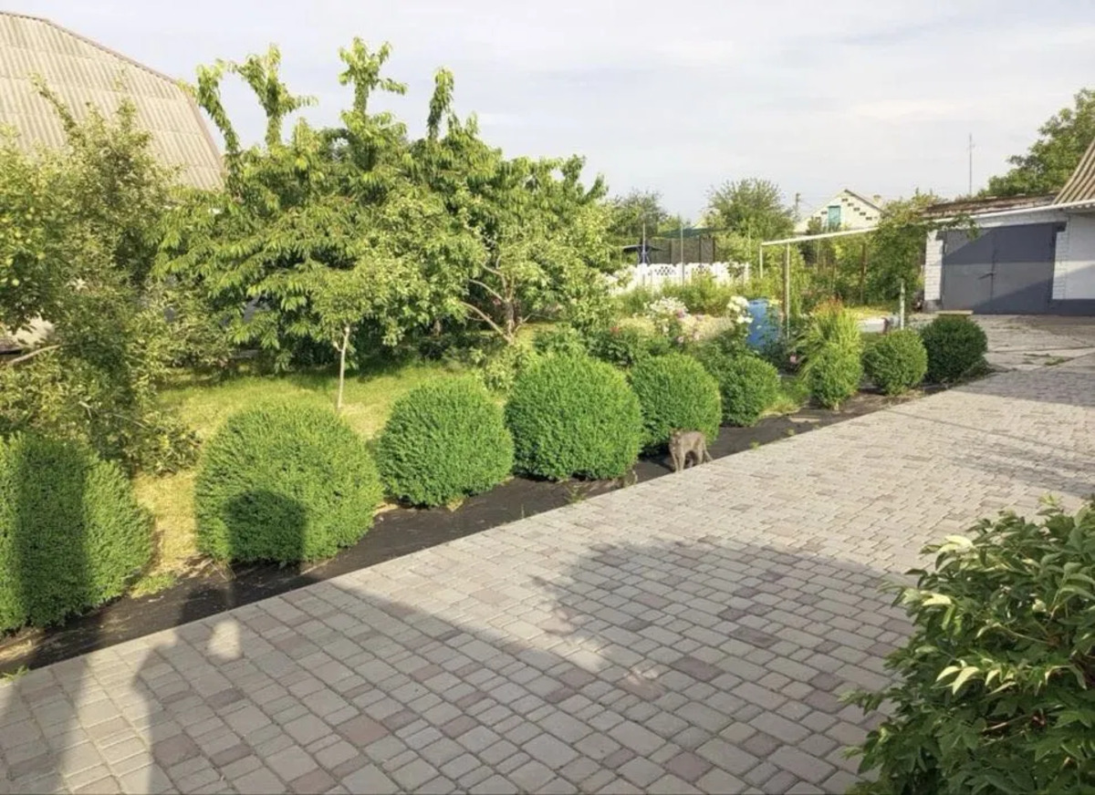 ������ ������� ��������� ���� 1