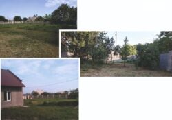  2        10.5 , 150 . , 4   5