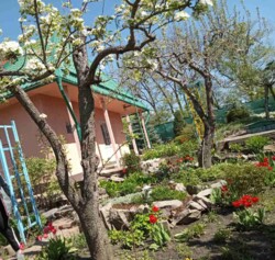 Дача в сказочном месте фото 8 Дача в сказочном месте фото 8