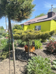 Продам будинок в Романково фото 1 Продам будинок в Романково фото 1