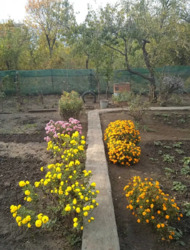   , ', ',  ,   '  '  12