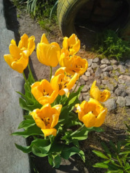   , ', ',  ,   '  '  13