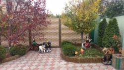 Продається будинок Дніпропетровська, Кам'янське, Кам'янське, Черемушки фото 5 Продається будинок Дніпропетровська, Кам'янське, Кам'янське, Черемушки фото 5