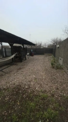 ��������� ������� ���'������, ���'������, ����������������, ��������� ���� 16