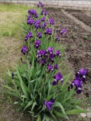 Продам пол дома на поселке Строителей возле 34 школы фото 8 Продам пол дома на поселке Строителей возле 34 школы фото 8