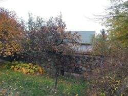 ��������� ������� ���'������, ���'������, ����������������, ��������� ���� 17