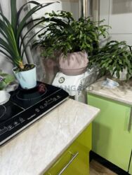 ������ ������� ��������� ���� 4