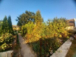 Продам. Плотина. 4 от воды фото 2 Продам. Плотина. 4 от воды фото 2