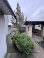 ������ ������� � ������ ����� ���� 1