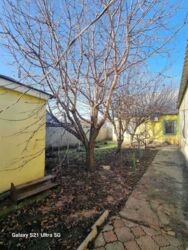 Продається будинок Дніпропетровська, Кам'янське, Кам'янське, Романково фото 10 Продається будинок Дніпропетровська, Кам'янське, Кам'янське, Романково фото 10