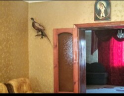 Продам дом в ПГТ Магдалиновк фото 18 Продам дом в ПГТ Магдалиновк фото 18