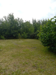 Продається будинок Дніпропетровська, Кам'янське, Кам'янське фото 12 Продається будинок Дніпропетровська, Кам'янське, Кам'янське фото 12