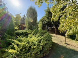 ПРОДАЖ БУДИНКУ!!Велика Територія! фото 5 ПРОДАЖ БУДИНКУ!!Велика Територія! фото 5