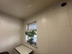 Продам будинок на 55 блочку з готовим тепличним бізнесом фото 12 Продам будинок на 55 блочку з готовим тепличним бізнесом фото 12