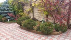 Продається будинок Дніпропетровська, Кам'янське, Кам'янське, Черемушки фото 6 Продається будинок Дніпропетровська, Кам'янське, Кам'янське, Черемушки фото 6